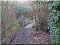 Footbridge on Public Footpath, Springfield, Chelmsford in CM2 6PB