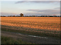 Farmland near Keisby House in NG33 4HG