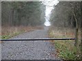 Forest road 153 barrier in Bedingfeld Ward