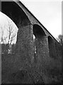 Twizel Viaduct: a downstream view in TD12 4UZ