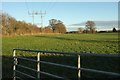 Field by Knaresborough Road in HG3 3QX