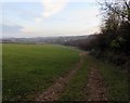View towards Marefield in Marefield