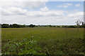 Field west of Nouale Lane in BH24 1QU