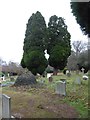 Holy Trinity, Lyne: churchyard (I) in KT16 0AZ