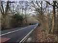 Looking down Oldham Hill in GU28 0HF