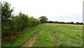 On the Wensum Way, W of Cadder's Hill, Lyng in Lyng