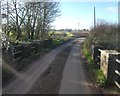 Broughton Lane bridge over Broughton Brook in TA3 7BT
