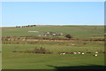 Farmland at New Cumnock in New Cumnock