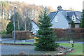 Christmas Tree, Carronbridge in DG3 5AY
