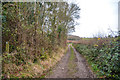 West Somerset : Track in TA4 4ED