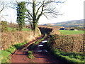 Llwybr Garreg Lwyd / Garreg Lwyd Path in SA19 6TL