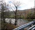 River Usk north of Glangrwyney Bridge, Glangrwyney in NP8 1EN