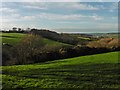 Wooded valley, below Preston Lane in EX17 4DA