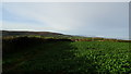 View W along field path, Waltham's Copse near Kilve in TA5 1SS