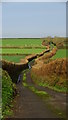 View N along Cross Elms Hill, Stringston in TA5 1PZ
