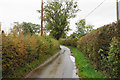 Lane near Brook End Farm in CV9 2JP