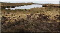 Moorland and lochan on Biglees Hill in KA23 9QP