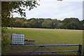 Field by Tuesnoad Lane in TN26 3EG