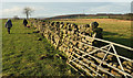 Path to Buttoner House Farm in Lindley