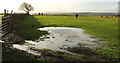 Puddle by the path to Buttoner House Farm in Lindley