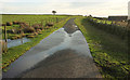 Puddle near Buttoner House Farm in Lindley