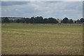 Flat field near Foxton in Foxton (South Cambridgeshire)