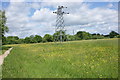 Pylons, Langley Common Meadow in RG2 9EP
