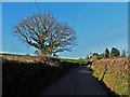 Minor road to Crediton in EX17 4AA