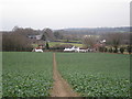 Corn field off Bodiam Road in TN5 6QS