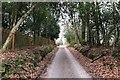 Lane near Luck Farm (1) in TN19 7NA