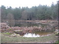 Meadow View pond at Center Parcs in Brougham