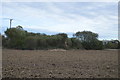 Wooded pond across ploughed field in TN26 3EF