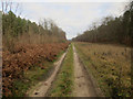 Restricted byway to Lodge Farm in PE37 8AT