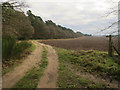 Bridleway to Larch Wood in PE37 8AT