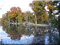 Autumn at Britten's Pond in GU3 3EL