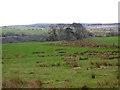 Fields above the valley of the Rowley Burn in NE46 2LD