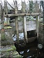 Remains of wooden sluice gate, Caernarfon in LL55 2DX