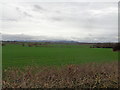 Across the fields to the Malverns from Wadborough in WR8 9HH