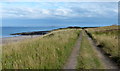 Path at Bamburgh Castle Golf Club in NE69 7AQ