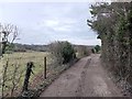 Narrow Bridleway on the Clandon Downs in GU4 8WA