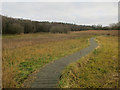 Boardwalk, Southrepps Common in NR11 8UJ
