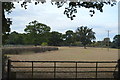 Field by Pluckley Rd in TN27 8NJ