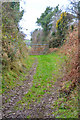 North Devon : Track in EX31 4QP