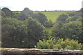 Hillside seen from Coombe Viaduct in PL26 7LP