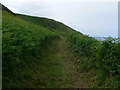 Wales Coast Path in SY23 5JN