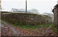 Lane and track, Frittiscombe in TQ7 2SJ