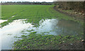 Flooded field, Falls Wood in HG3 3LY