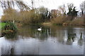 Lake in Abington Vale in NN3 3DH