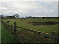 Alpacas at Bradfield Hall Farm in Swafield