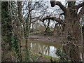 River Brue near Highbridge railway station in TA9 4AJ